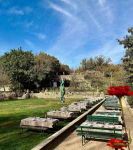 ranc mustang sinj obicaji